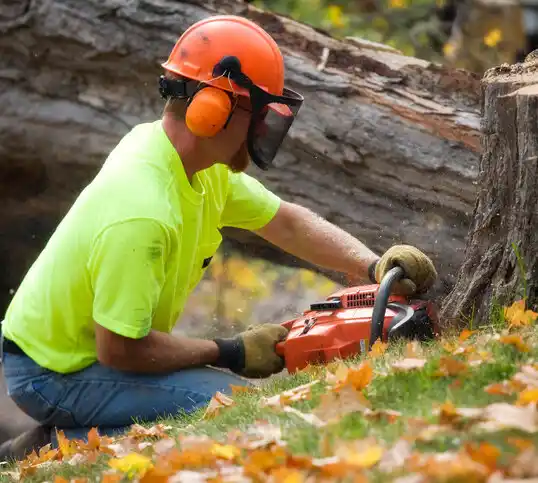 tree services Vienna Center